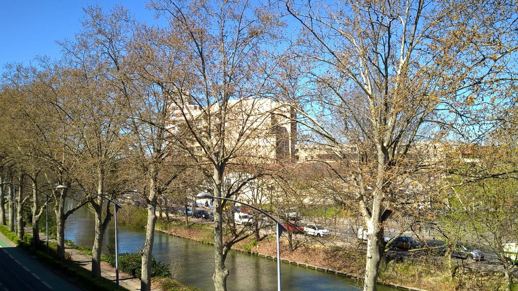 Appartement Matabiau Toulouse Bagian luar foto